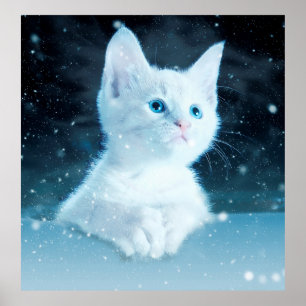 Cat kitty snow art animal nature poster