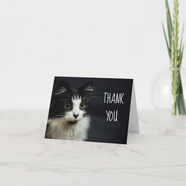 Cat, Kitty, Thank You Small Notecard (Front)