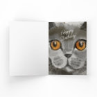 Cat Lady Birthday | OMG! It's Your Birthday Funny