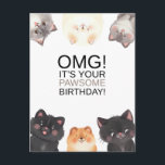 Cat Lady Birthday | OMG! It's Your Birthday  Postcard<br><div class="desc">OMG! It's your pawsome birthday!</div>