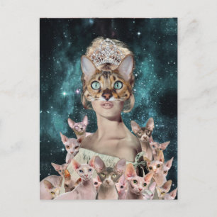 Cat Lady Postcard