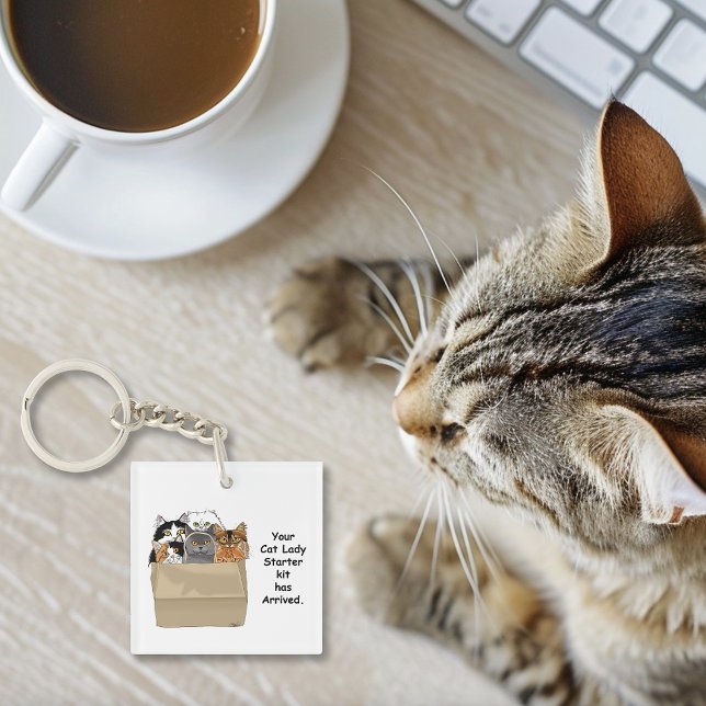 Cat Lady Starter Kit Key Ring (Creator Uploaded)