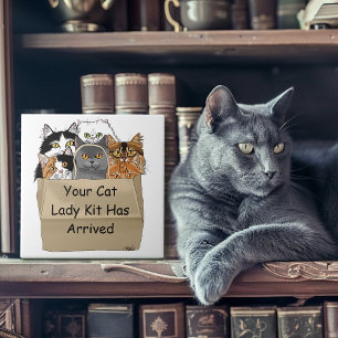 Cat Lady Starter Kit Tile
