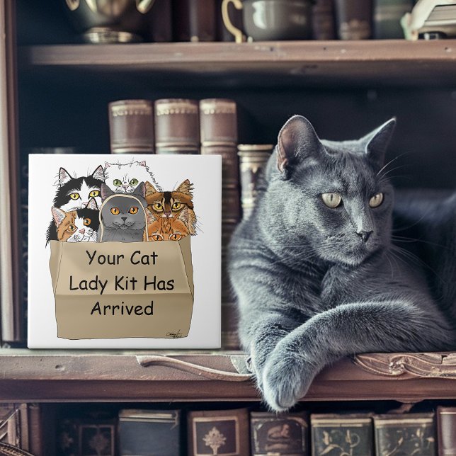 Cat Lady Starter Kit Tile (Creator Uploaded)