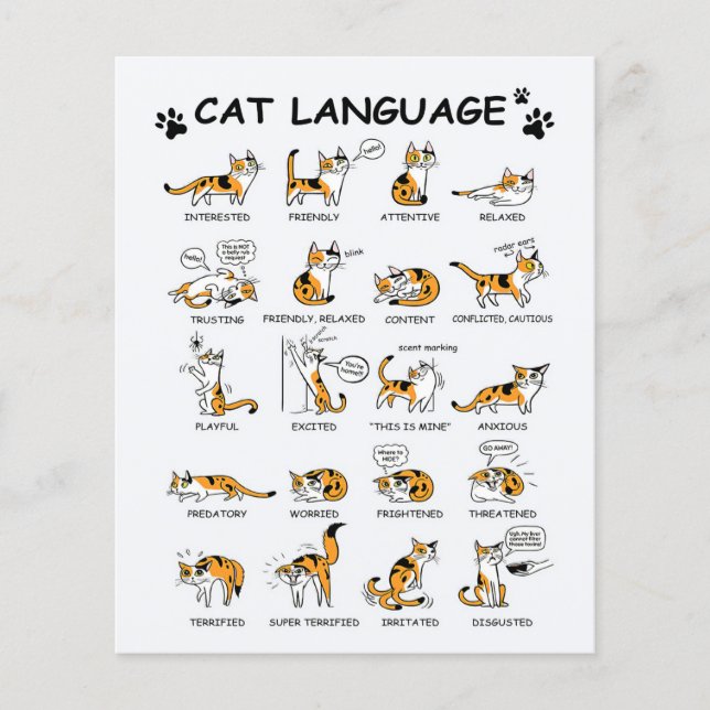 Cat Language, Funny Cat Kitten, Love Cat Gift Idea Flyer (Front)