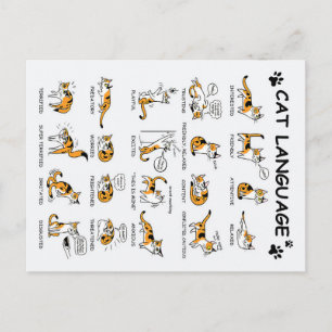 Cat Language, Funny Cat Kitten, Love Cat Gift Idea Postcard