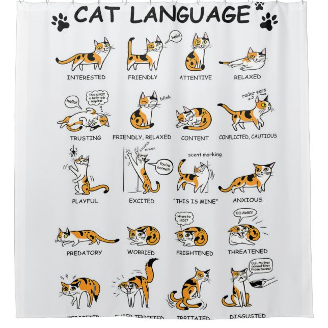 Cat Language, Funny Cat Kitten, Love Cat Gift Idea Shower Curtain (Front)