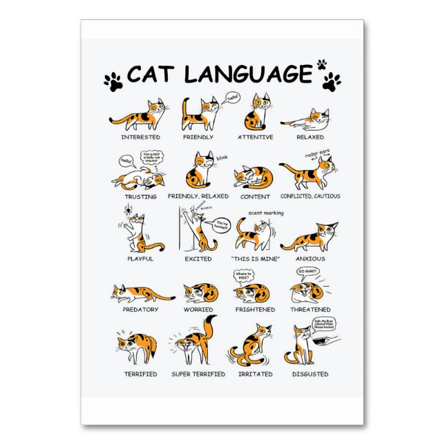 Cat Language, Funny Cat Kitten, Love Cat Gift Idea Table Number (Front)