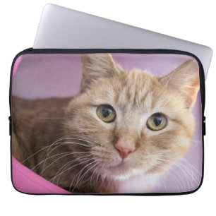 Cat Laptop Sleeve