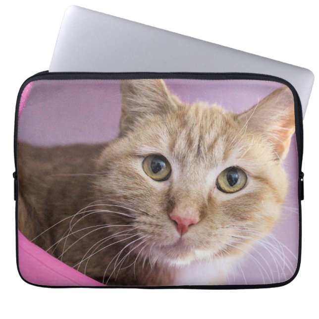 Cat Laptop Sleeve (Front)