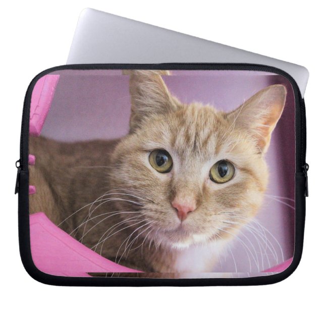 Cat Laptop Sleeve (Front)