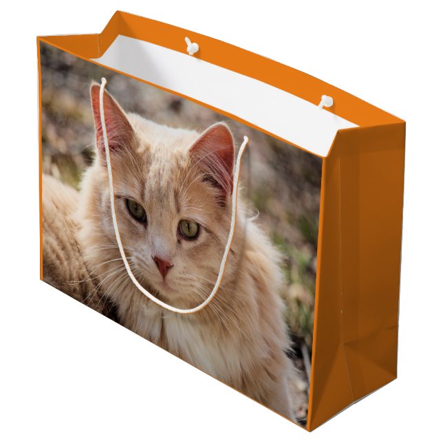 Cat Large Gift Bag (Back Angled)