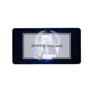 Cat lawyer in space                                label