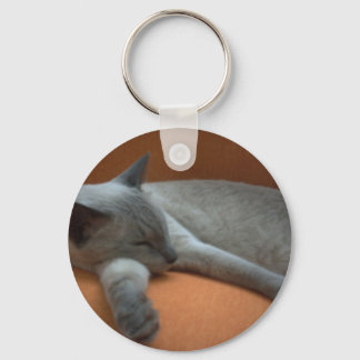 Cat lay key ring