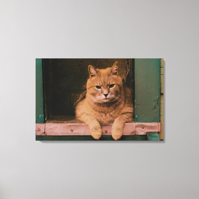 Cat Leans on Windowsill Canvas Print (Front)