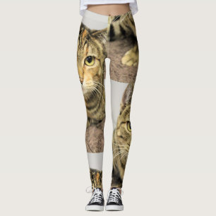 Cat Leggings