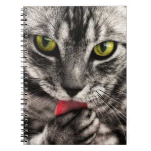 Cat Lick Spiral Notebook