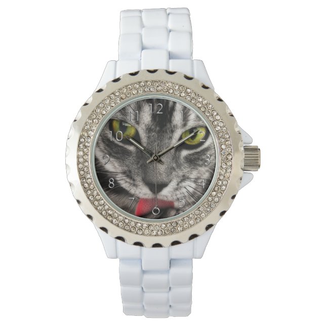 Cat Lick Watch (Front)