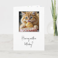 Cat Licking a Birthday Cake