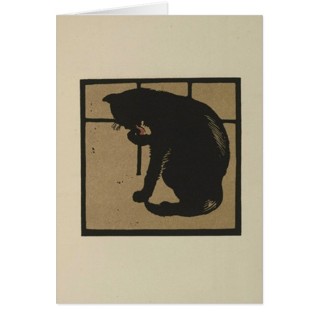 Cat Licking its Paws (Front)