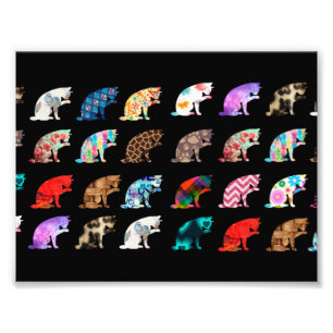 Cat Licking Pattern Photo Print