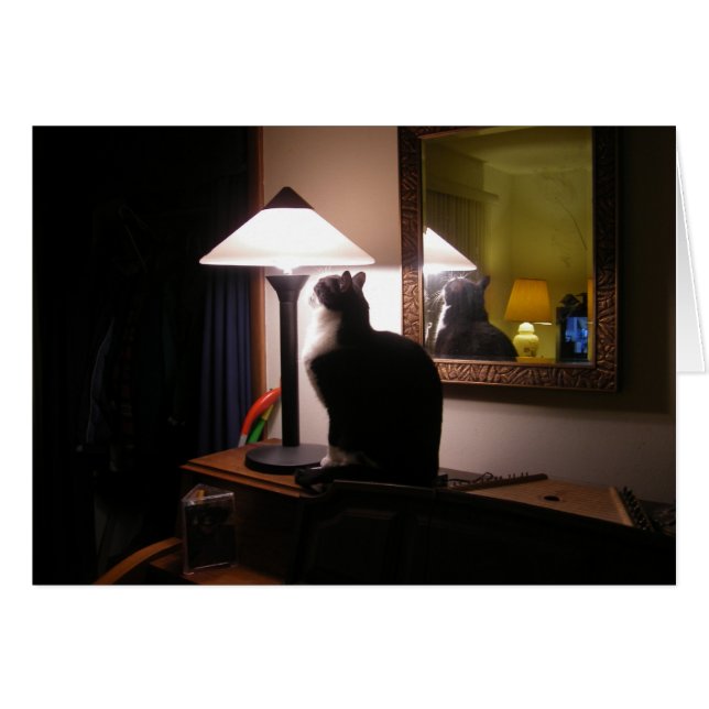 Cat Light Card (Front Horizontal)