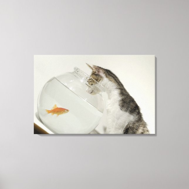 Cat looking at fish in fishbowl canvas print (Front)