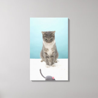 Cat looking at toy mouse on rug canvas print