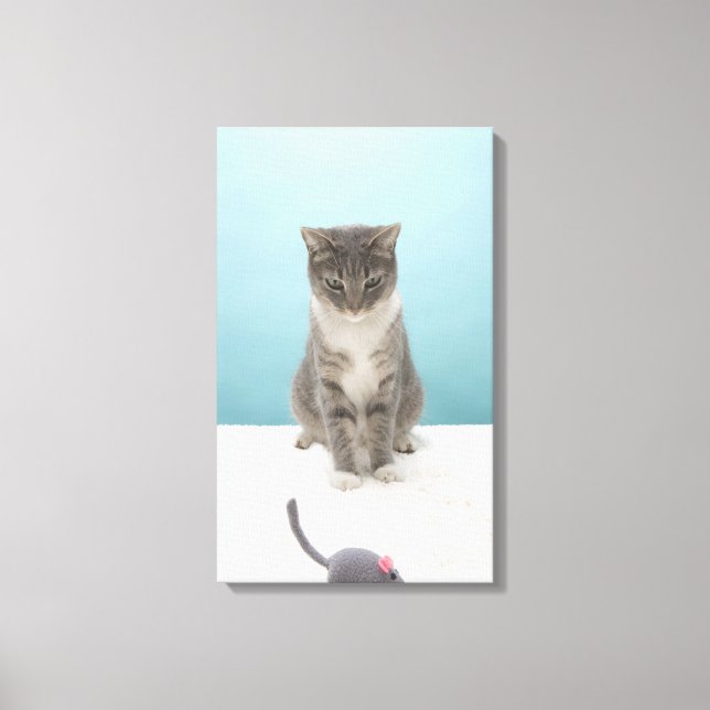 Cat looking at toy mouse on rug canvas print (Front)