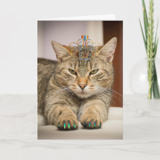 Cat Looking Good for Birthday Fun Animal Card