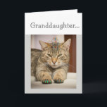 Cat Looking Good Granddaughter Birthday Fun Animal Card<br><div class="desc">It's your Granddaughter. Birthday Celebrate any way you want with a funny cat wearing a tiara and with nails done.  If your Granddaughter loves humour and animals especially cats this is the birthday card for you</div>