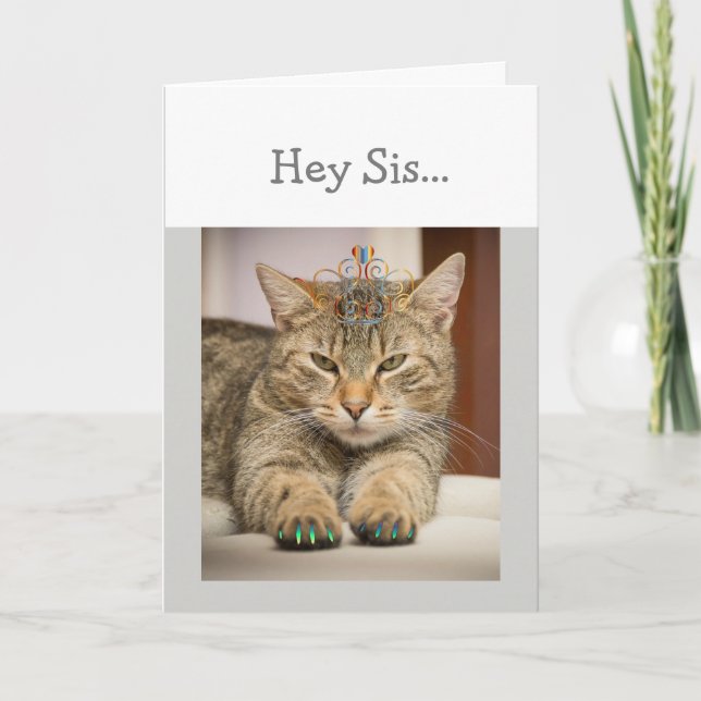 Cat Looking Good Sister Birthday Fun Animal Card (Front)
