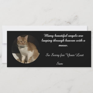 Cat Loss Quotes To Treasure Memory Sympathy Card