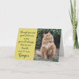 Cat Loss Sympathy Card Personalised Photo Pet Name