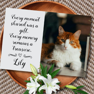 Cat Loss Sympathy Card Personalised Photo Pet Name