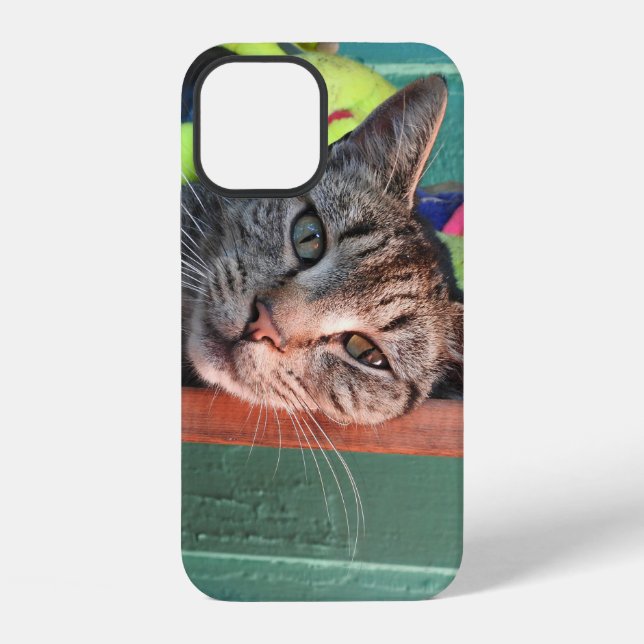 Cat Love  iPhone Case (Back)