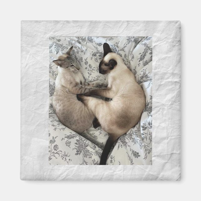 Cat love magnet (Front)
