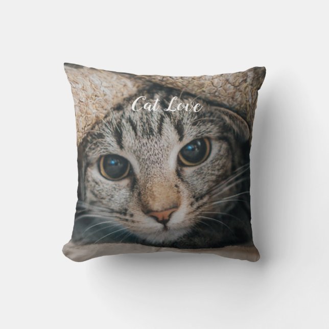 Cat Love Popular Design Gift Cushion (Front)