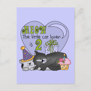 Cat Lover 2nd Birthday Tshirts and Gifts Postcard