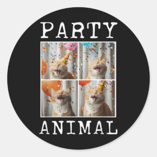 Cat Lover Animal Themed Happy Cat Birthday  Classic Round Sticker