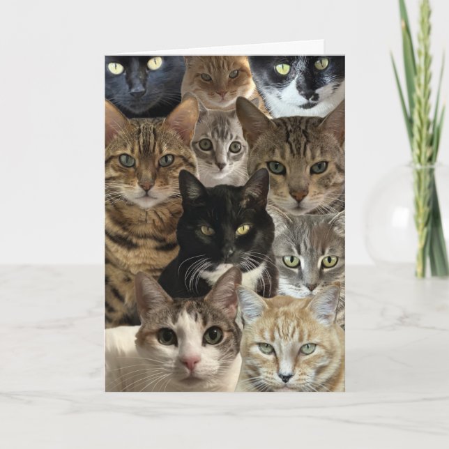 Cat Lover Birthday Card (Front)