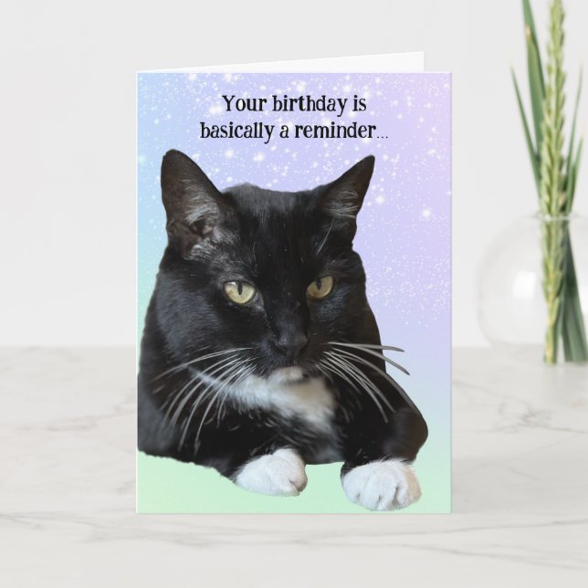 Cat Lover Birthday Card (Front)