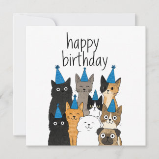 Cat Lover Cards - Cat Party Birthday Card