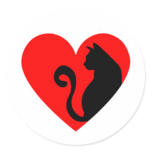 Cat Lover