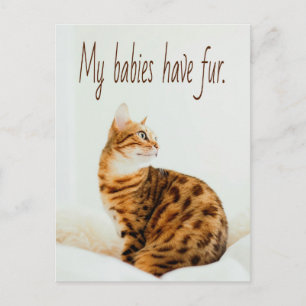 Cat Lover, Cute Kitten Meme, My babies have Fur Postcard