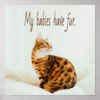 Cat Lover, Cute Kitten Meme, My babies have Fur