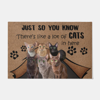 Cat Lover Doormat, Cat Welcome Mat, Funny Cat Gift Doormat