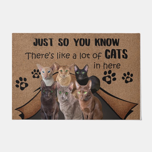 Cat Lover Doormat, Cat Welcome Mat, Funny Cat Gift Doormat (Front)