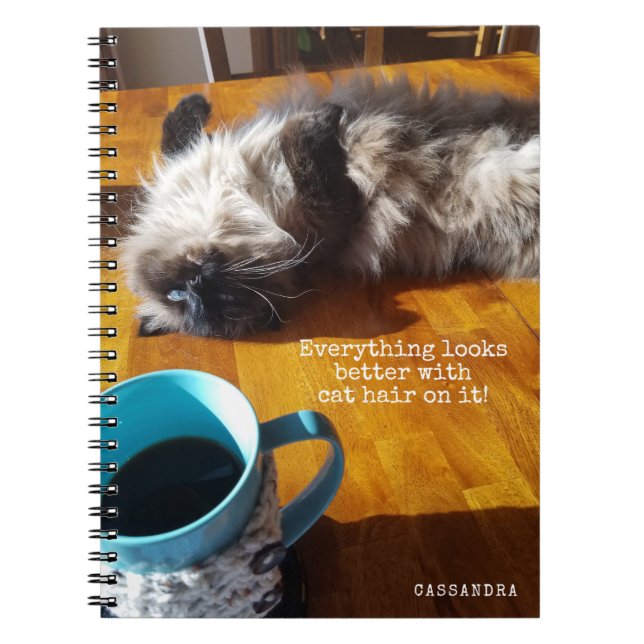 Cat Lover - Everything Looks Better with Cat Hair Spiral Notebook (Front)