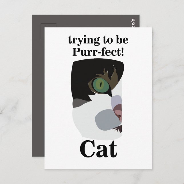 Cat Lover Funny Postcard (Front/Back)